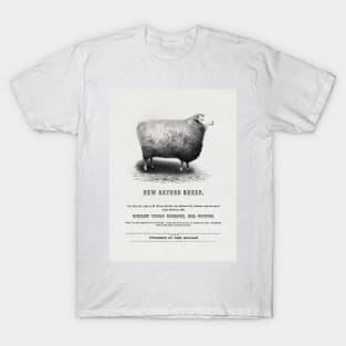 New Oxford Sheep (1853) by John Moulson T-Shirt